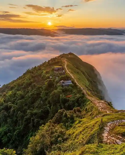 Guide leading a trek through Meghalaya's forests