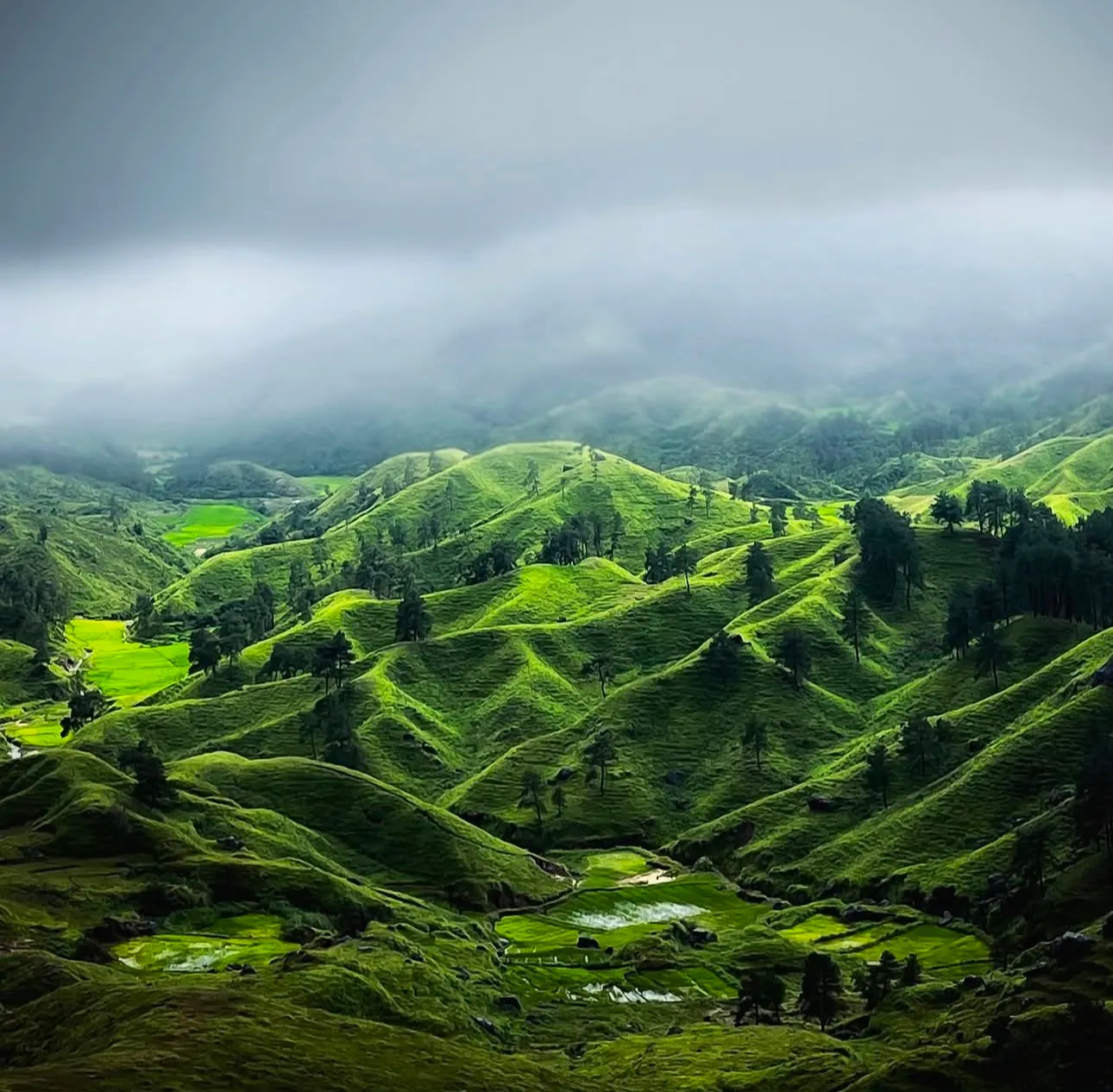 Offbeat Meghalaya 5N/6D, 4N/5D, 3N/4D — detail view one